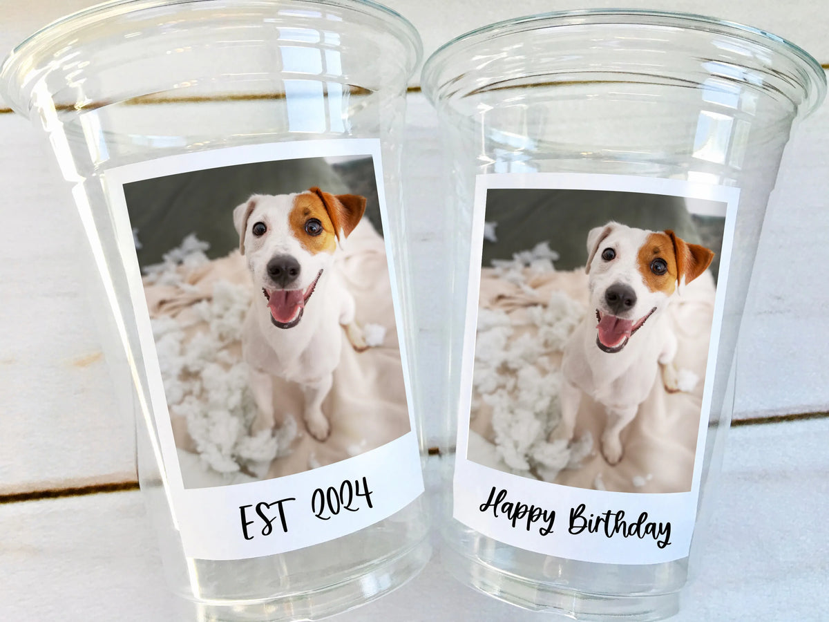 Custom Plastic Cups With Your Photos Personalized Birthday Party Decorations