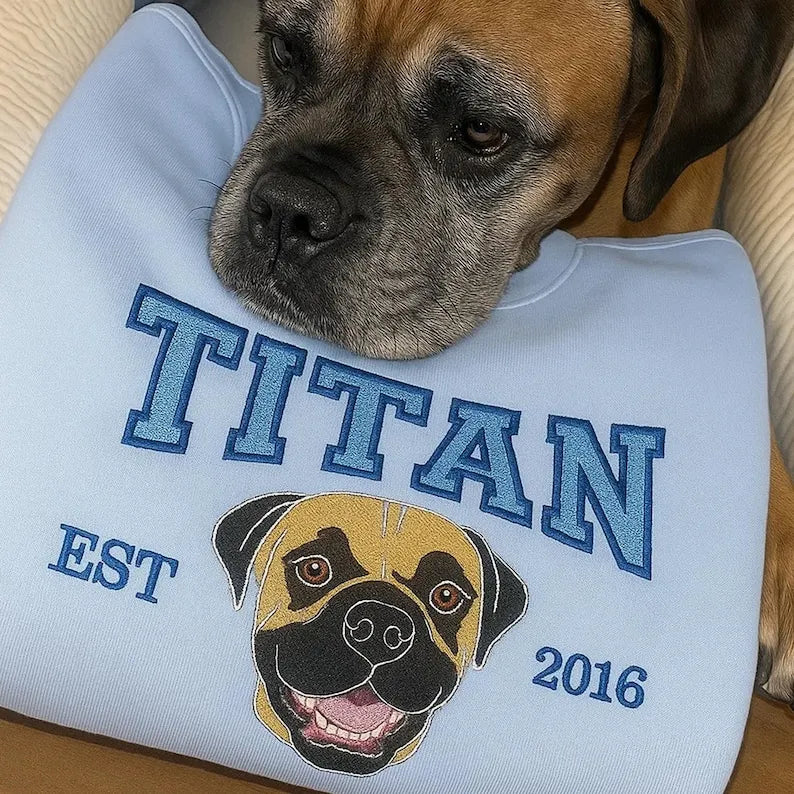Custom Dog Cat Face Embroidered Sweatshirt Varsity Style Sweatshirt Hoodie T-shirt- Varsity Colorful Design