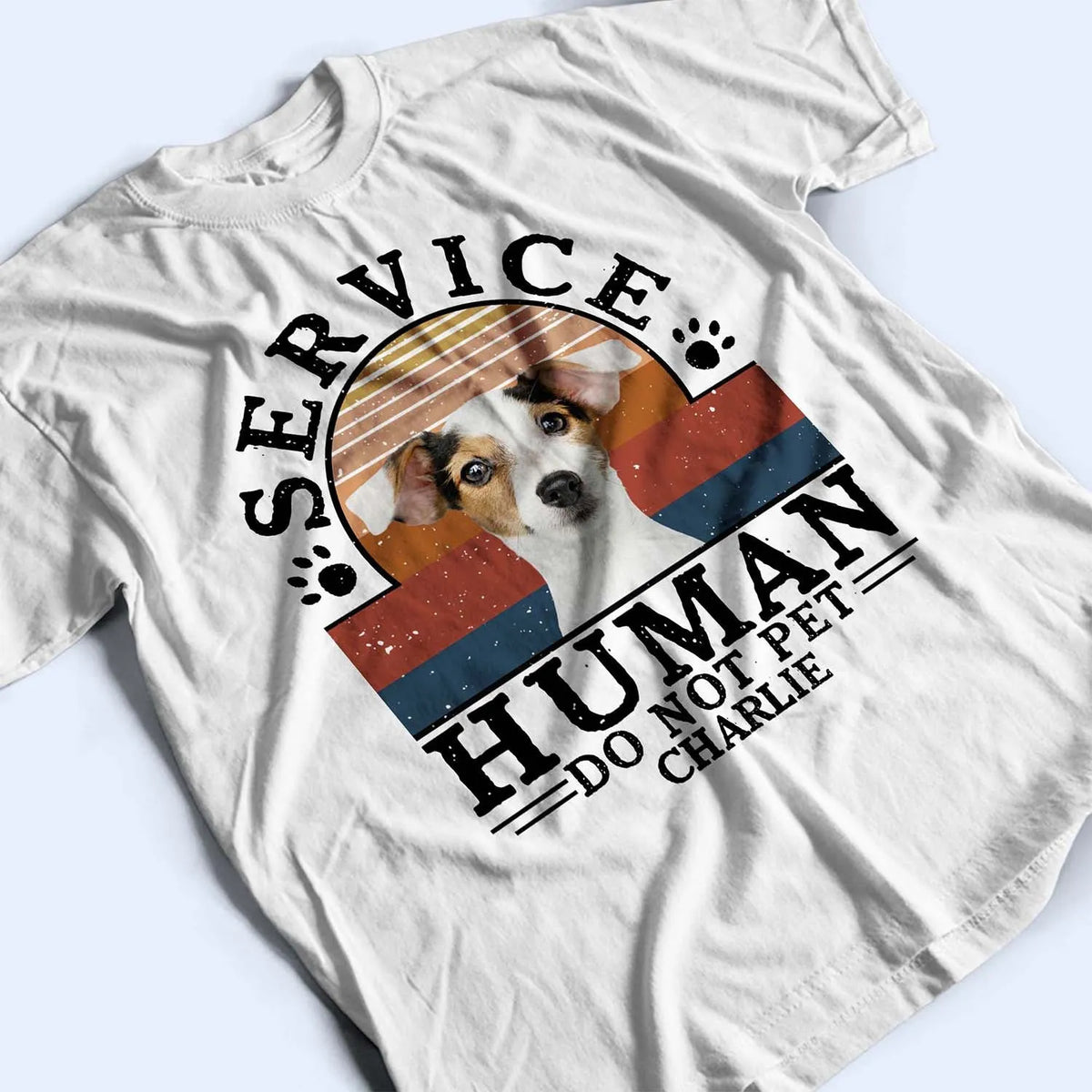 Custom Photo Dog Cat Service Human Do Not Pet -Personalized Custom T-Shirt Hoodie Sweatshirt