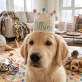 Personalized Dog Birthday Hat, Custom Name Embroidered Pet Party Crown for Dogs and Cats