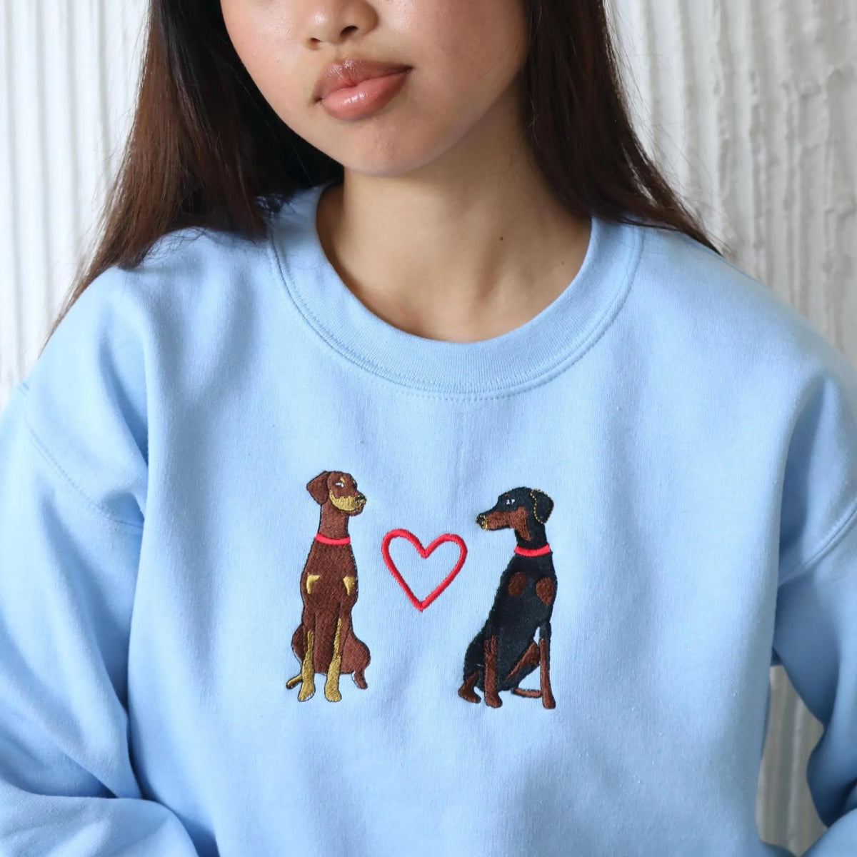Custom 2 Pets Portrait Embroidered Sweatshirt, Hoodie, T-shirt with Heart Pattern- Colorful Design