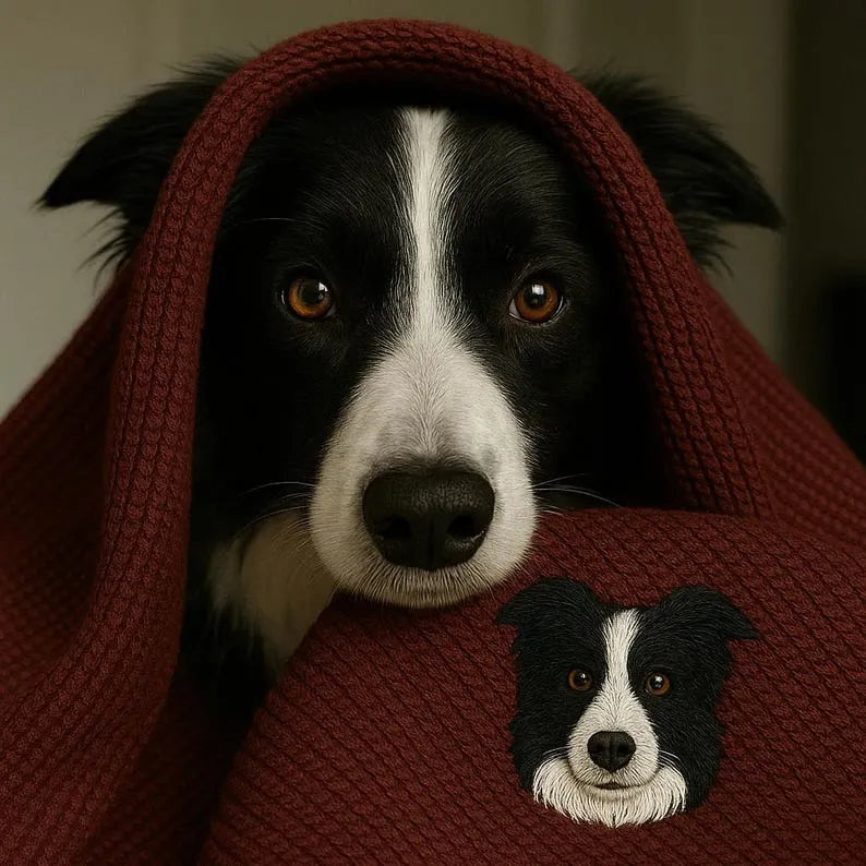 Custom Premium Handcrafted Pet Embroidered Blanket, Pet Knitted Throw Blanket