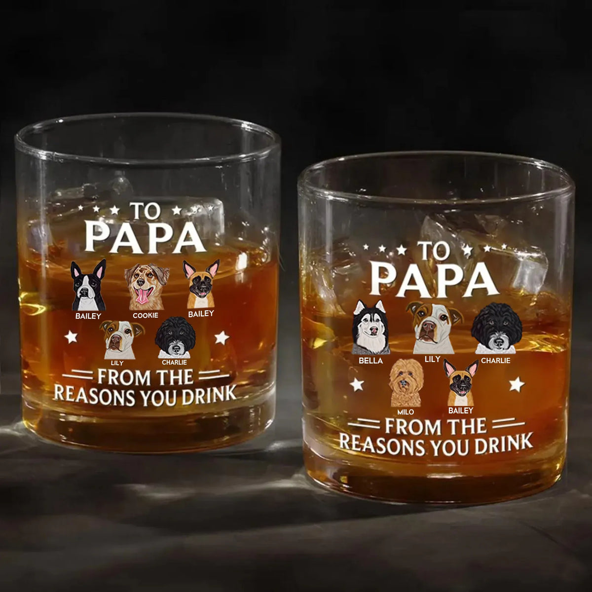 Personalized Papa Whiskey Glass with Pet Portraits for Dog Dad, Reasons You Drink Glass