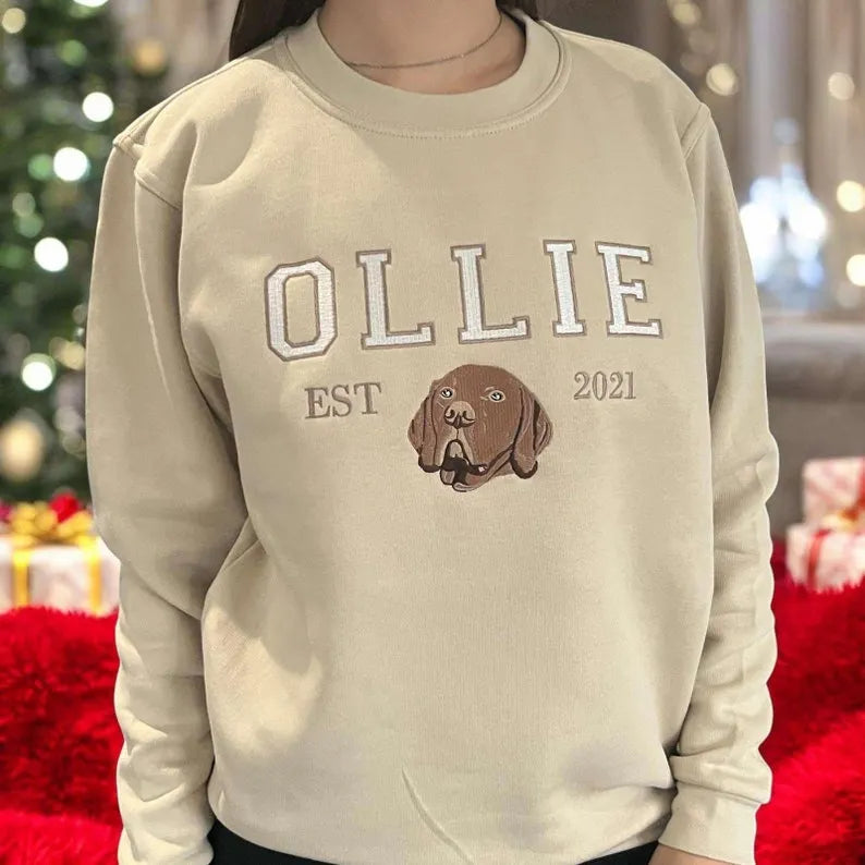 Custom Dog Hoodie Embroidered Dog Name, Varsity Style Personalized Pet Face Sweatshirt from Your Photo- Varsity Colorful