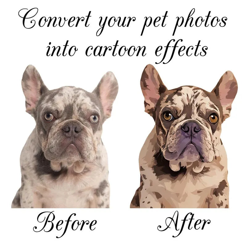 Custom Pet Photo Socks – Personalized Socks for Dog and Cat Lovers