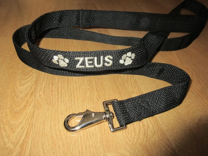 Personalized Dog Leash Puppy Leash Cat Leash