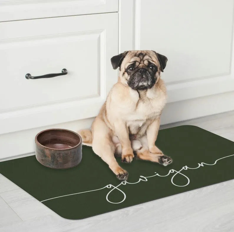 Personalized Pet Food Mat – Custom Name, Color & Font for Pet Water-Absorbent Floor Placemat
