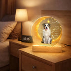 Custom Pet Memorial LED Light with Wooden Base, Crescent Moon Sympathy Lamp, Dog Cat Remembrance Gift